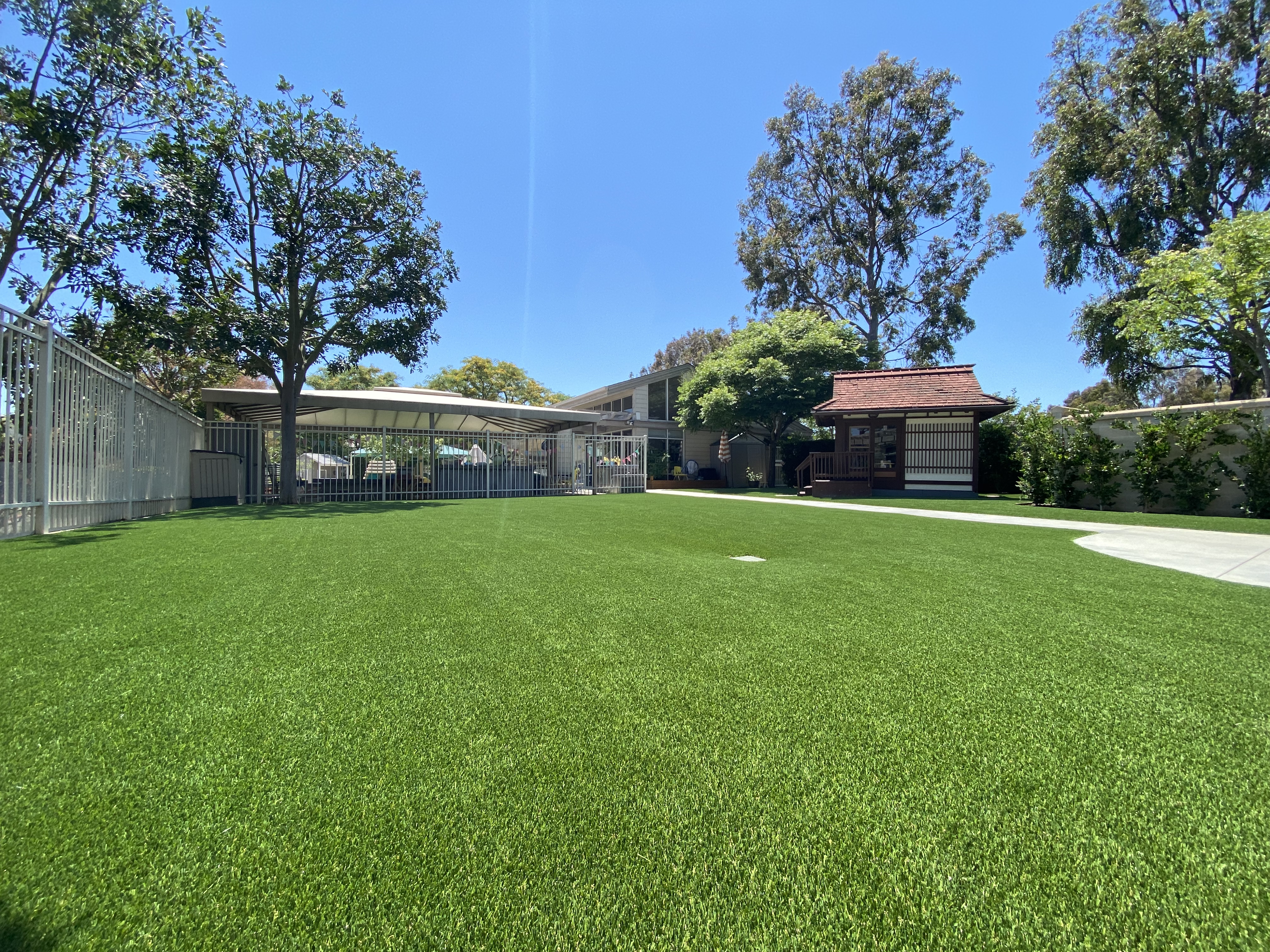 Turf Installation Photos