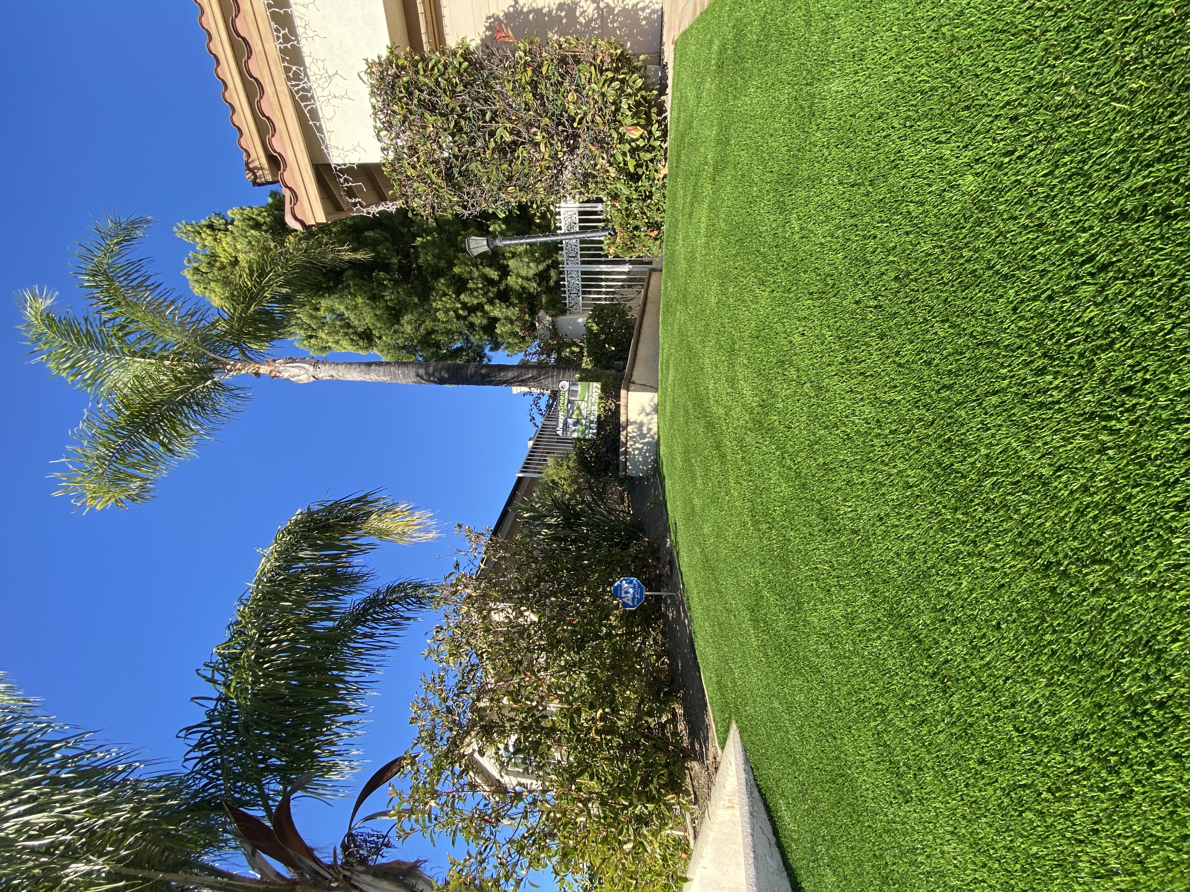 Turf Installation Photos